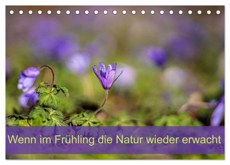 Produktbild: Wenn im Fr&uuml;hling die Natur wieder erwacht (Tischkalender 2026 DIN A5 quer), CALVENDO Monatskalender