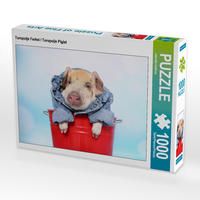 Produktbild: CALVENDO Puzzle Turopolje Ferkel / Turopolje Piglet 1000 Teile Lege-Gr&ouml;&szlig;e 64 x 48 cm Foto-Puzzle Bild von Jeanette Hutfluss