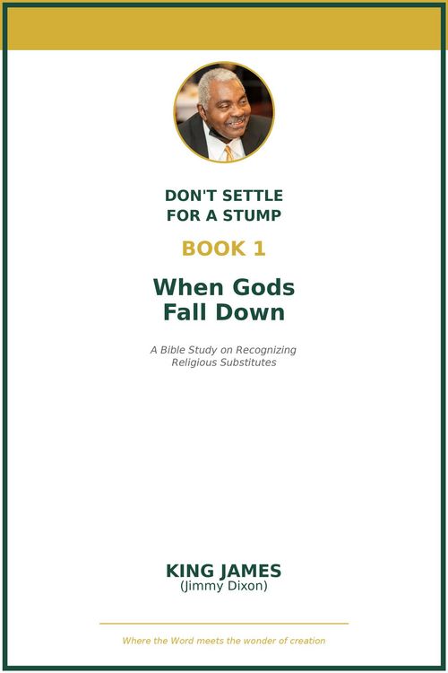 Produktbild: When God's Fall Down