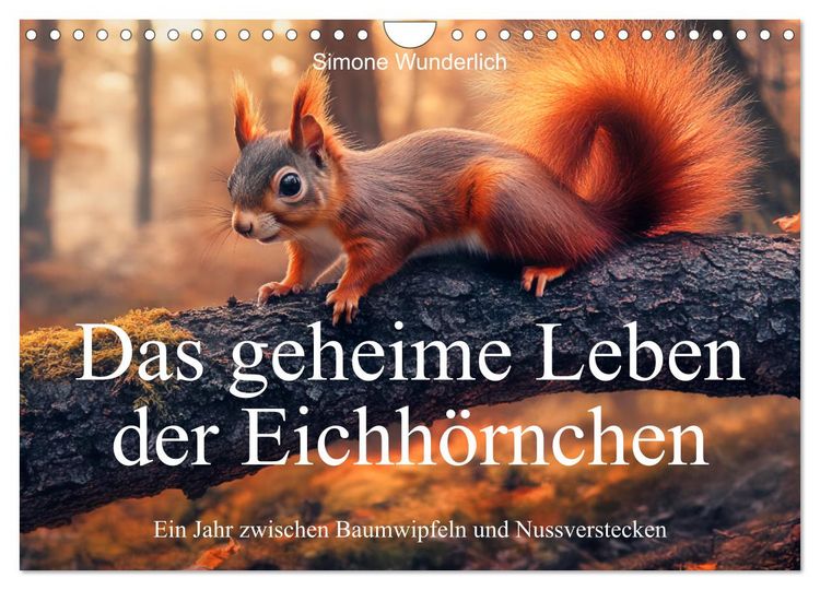 Produktbild: Das geheime Leben der Eichh&ouml;rnchen - Ein Jahr zwischen Baumwipfeln und Nussverstecken (Wandkalender 2026 DIN A4 quer), CALVENDO Monatskalender