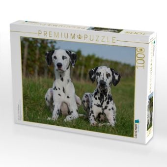 Produktbild: CALVENDO Puzzle Dalmatiner in den Weinbergen | 1000 Teile Lege-Gr&ouml;&szlig;e 64x48cm Foto-Puzzle f&uuml;r gl&uuml;ckliche Stunden