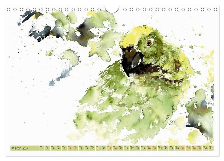 Produktbild: The Fascinating World of Birds in Watercolour (Wall Calendar 2027 DIN A4 landscape), CALVENDO 12 Month Wall Calendar
