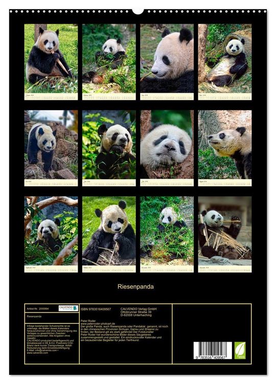 Produktbild: Riesenpanda (hochwertiger Premium Wandkalender 2026 DIN A2 hoch), Kunstdruck in Hochglanz