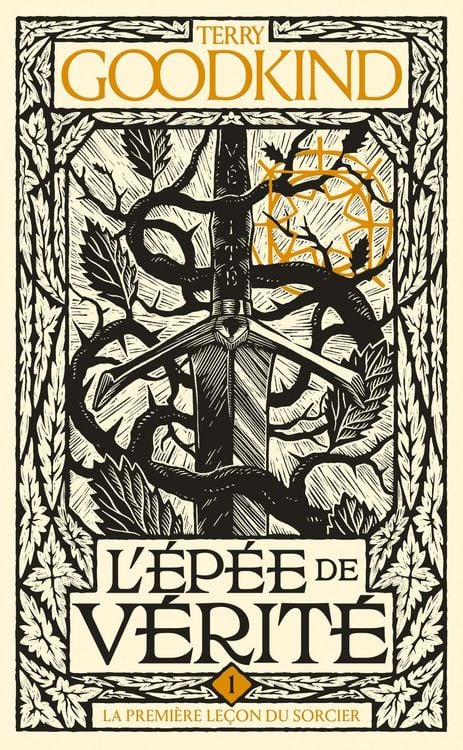 Produktbild: L'&Eacute;p&eacute;e de v&eacute;rit&eacute;, T1 : La Premi&egrave;re Le&ccedil;on du Sorcier