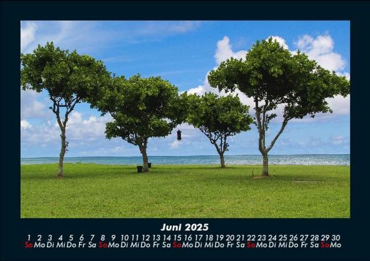 Produktbild: B&auml;ume 2025 Fotokalender DIN A5