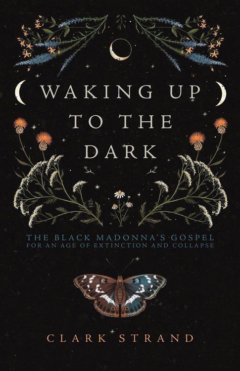 Produktbild: Waking Up to the Dark