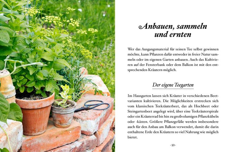 Produktbild: Das kleine Buch: Teegenuss aus Fr&uuml;chten, Bl&uuml;ten und Bl&auml;ttern