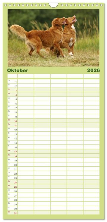 Produktbild: Familienplaner 2026 - Nova Scotia Duck Tolling Retriever mit 5 Spalten (Wandkalender, 21 x 45 cm) CALVENDO