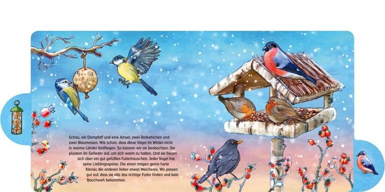 Produktbild: Was machen die Tiere im Winter?