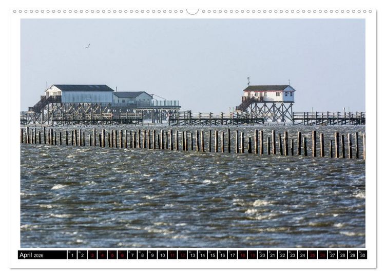 Produktbild: St. Peter-Ording - Natur pur (Wandkalender 2026 DIN A2 quer), CALVENDO Monatskalender
