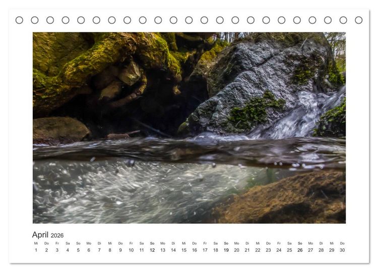 Produktbild: Unter Wasser in B&auml;chen und Fl&uuml;ssen (Tischkalender 2026 DIN A5 quer), CALVENDO Monatskalender