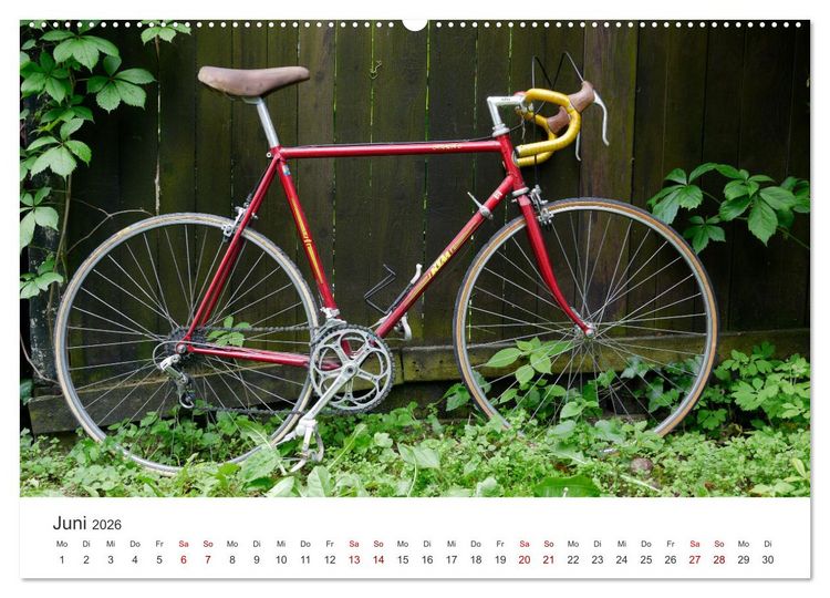 Produktbild: Stahlrenner - Rennrad-Klassiker aus Europa (hochwertiger Premium Wandkalender 2026 DIN A2 quer), Kunstdruck in Hochglanz