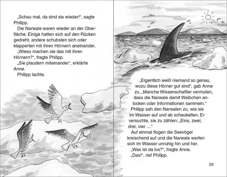 Produktbild: Das magische Baumhaus (Band 57) - Narwal in gro&szlig;er Gefahr