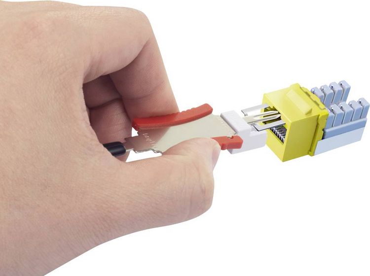 Produktbild: Renkforce 1 Port Netzwerkdose Aufputz CAT 6 KSV-ND10 Wei&szlig; RF-4473849