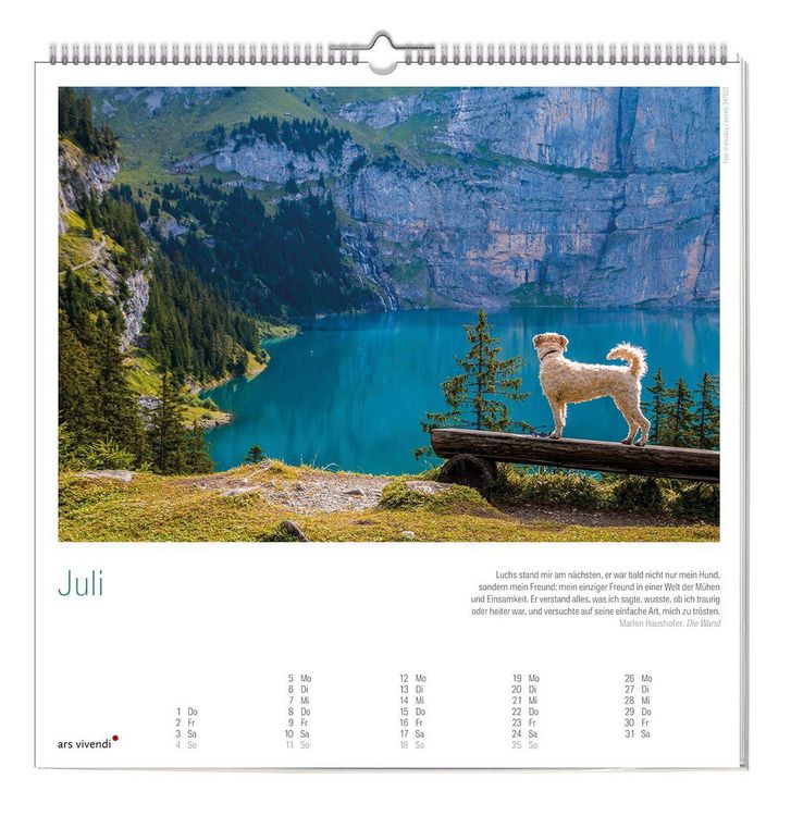 Produktbild: Der gro&szlig;e literarische Hunde Kalender 2027