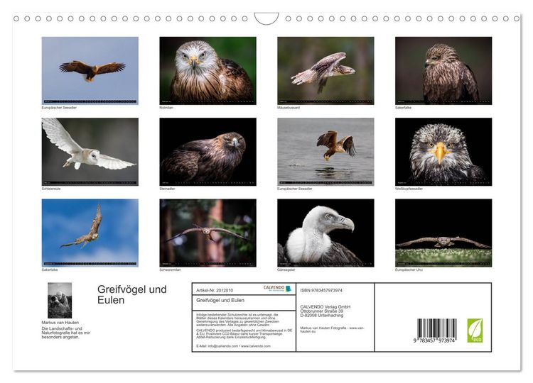 Produktbild: Greifv&ouml;gel und Eulen (Wandkalender 2026 DIN A3 quer), CALVENDO Monatskalender
