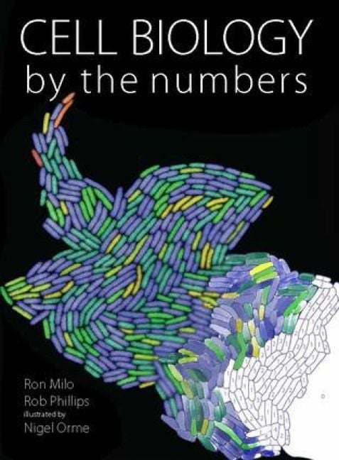 Produktbild: Cell Biology by the Numbers