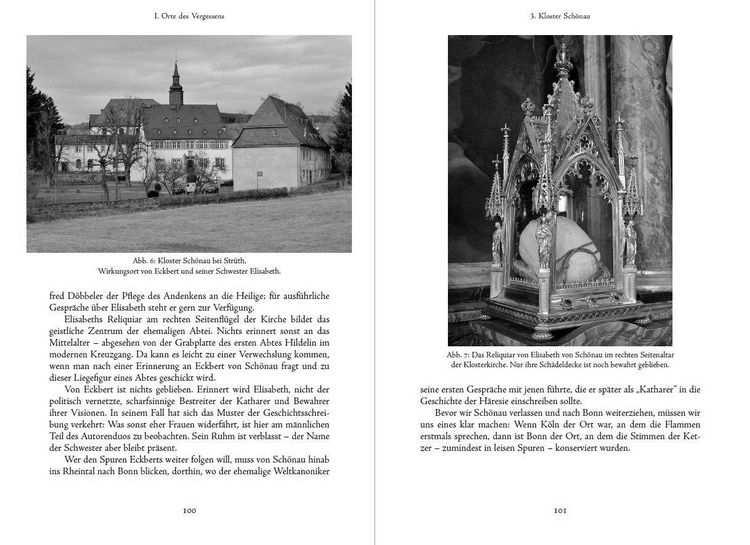Produktbild: Katharer des Nordens