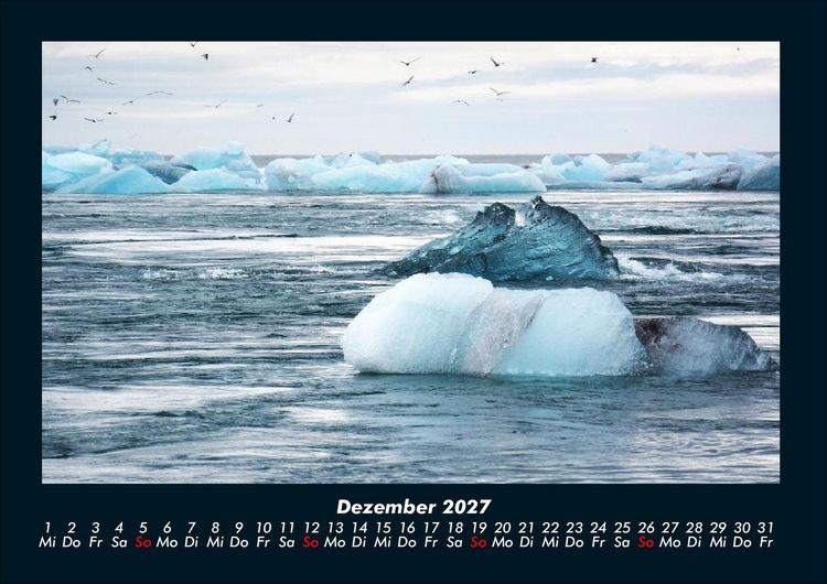 Produktbild: V&ouml;gel 2027 Fotokalender DIN A4