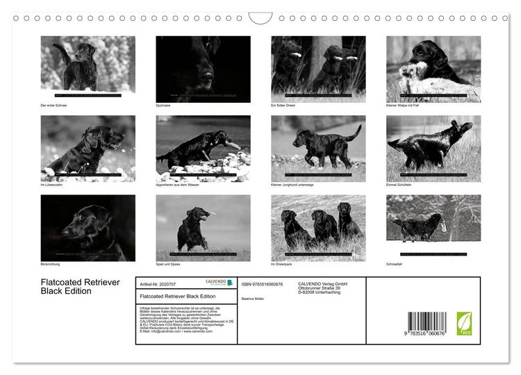 Produktbild: Flatcoated Retriever Black Edition (Wandkalender 2026 DIN A3 quer), CALVENDO Monatskalender