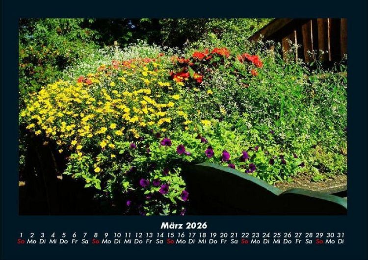 Produktbild: Blumentr&auml;ume 2026 Fotokalender DIN A4