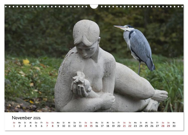 Produktbild: Die Graureiher vom Ahnepark (Wandkalender 2026 DIN A3 quer), CALVENDO Monatskalender