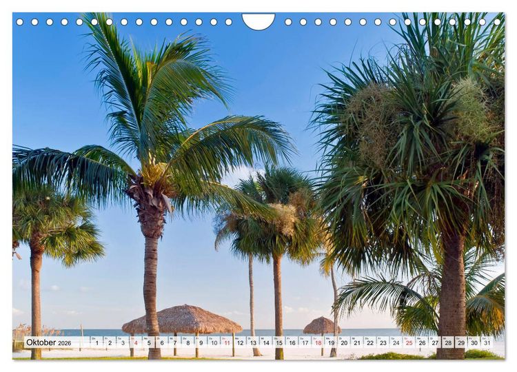 Produktbild: FLORIDA Paradiesischer Sonnenscheinstaat (Wandkalender 2026 DIN A4 quer), CALVENDO Monatskalender