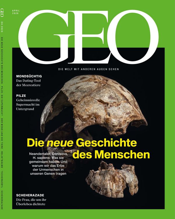 Produktbild: GEO 04/2026 - Die neue Geschichte des Menschen
