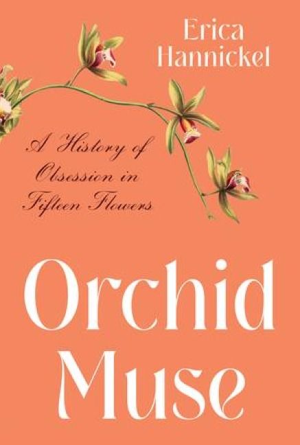 Produktbild: Orchid Muse