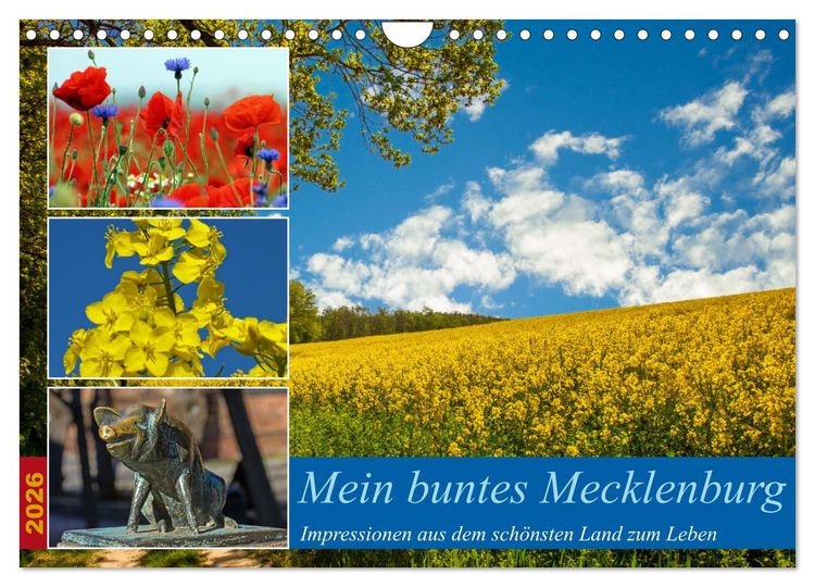 Produktbild: Mein buntes Mecklenburg (Wandkalender 2026 DIN A4 quer), CALVENDO Monatskalender