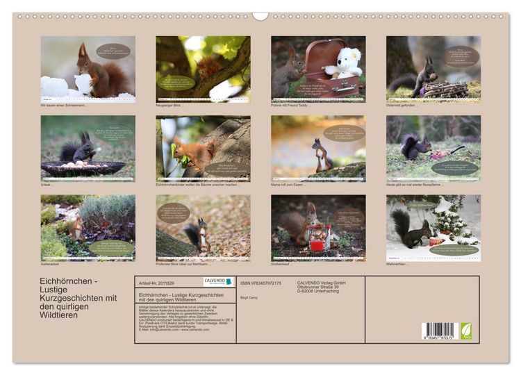 Produktbild: Eichh&ouml;rnchen - Lustige Kurzgeschichten mit den quirligen Wildtieren (Wandkalender 2026 DIN A2 quer), CALVENDO Monatskalender
