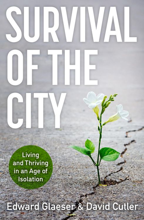 Produktbild: Survival of the City