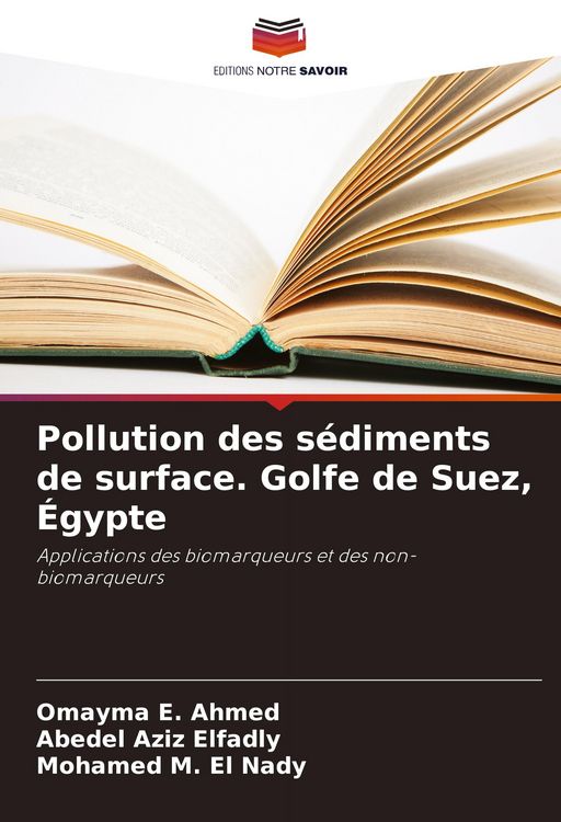 Produktbild: Pollution des s&eacute;diments de surface. Golfe de Suez, &Eacute;gypte