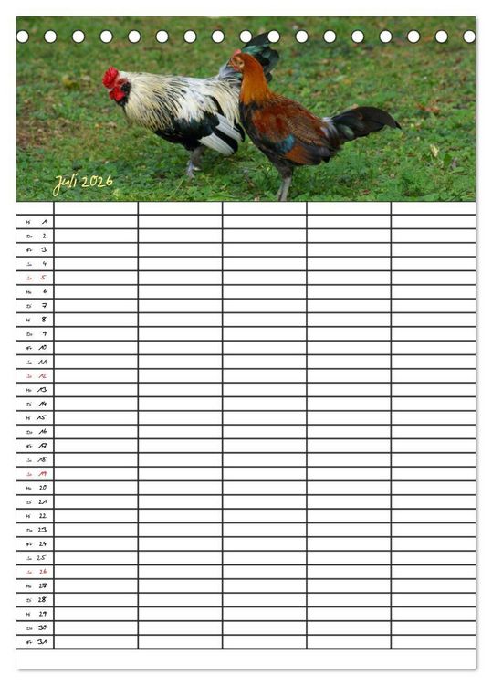 Produktbild: Bauernhoftiere Familienplaner (Tischkalender 2026 DIN A5 hoch), CALVENDO Monatskalender
