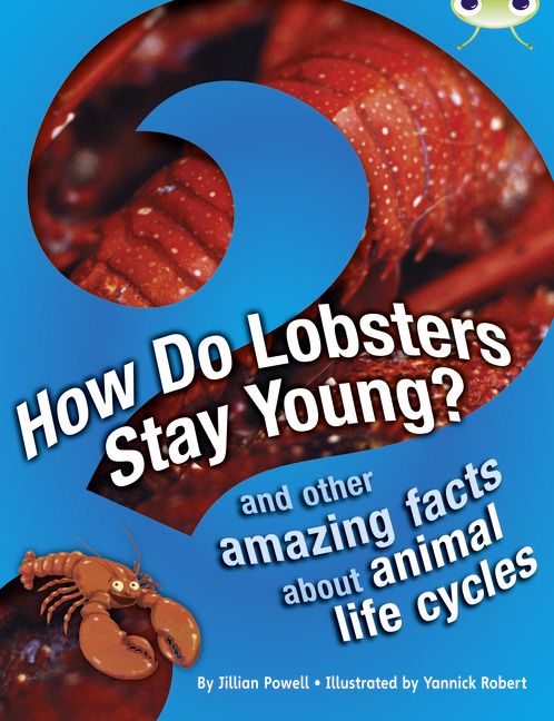 Produktbild: Bug Club Independent Non Fiction Year 3 Brown A How Do Lobsters Stay Young?