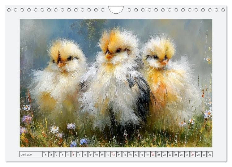 Produktbild: H&uuml;hner und K&uuml;ken. Fluffige Freunde (Wandkalender 2027 DIN A4 quer), CALVENDO Monatskalender