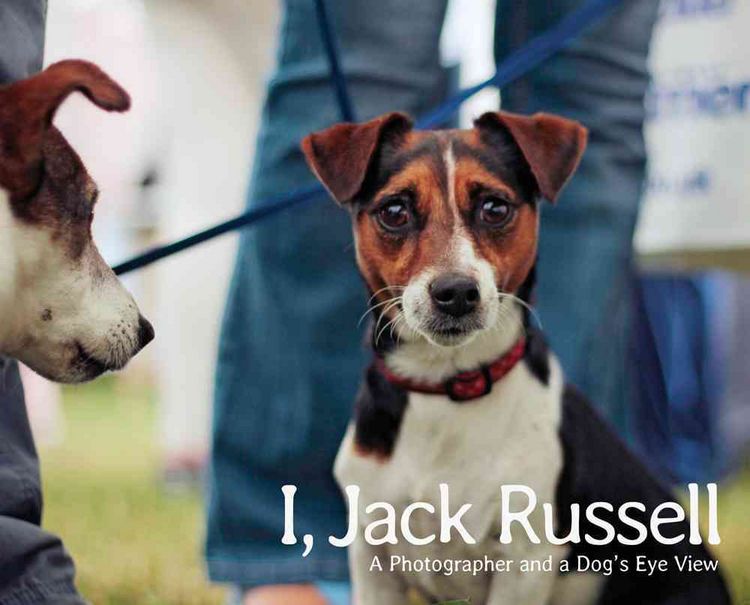 Produktbild: I, Jack Russell