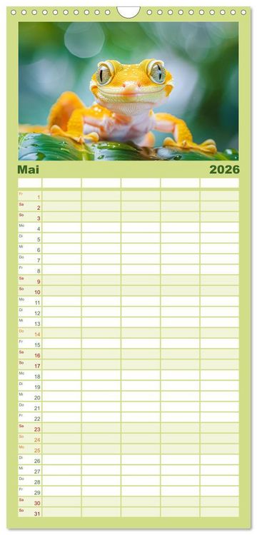 Produktbild: Familienplaner 2026 - Kleine Echsen haben Spass mit 5 Spalten (Wandkalender, 21 x 45 cm) CALVENDO