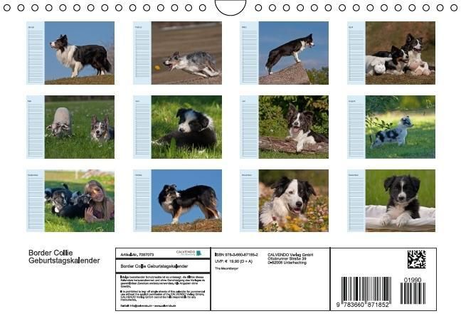 Produktbild: Der Border Collie Geburtstagskalender (Wandkalender immerw&auml;hrend DIN A4 quer)