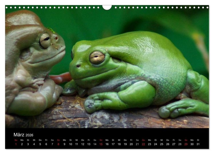 Produktbild: Die Welt der Haustiere (Wandkalender 2026 DIN A3 quer), CALVENDO Monatskalender