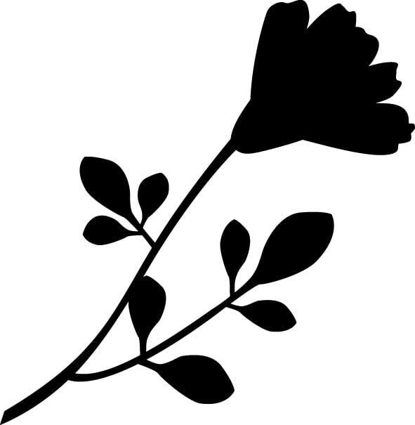 Produktbild: Stempelset "Natur"