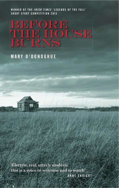 Produktbild: Before The House Burns
