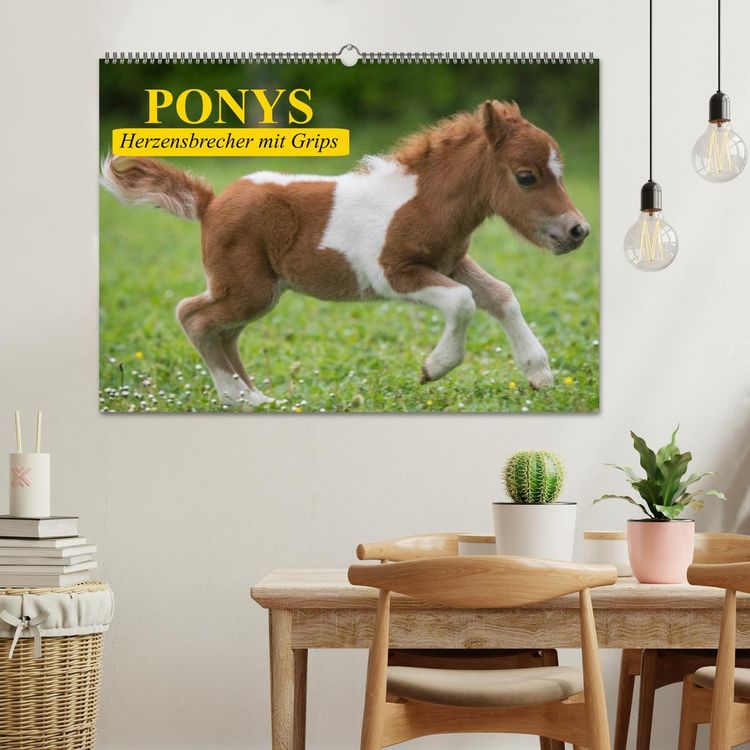 Produktbild: Ponys. Herzensbrecher mit Grips (Wandkalender 2026 DIN A2 quer), CALVENDO Monatskalender