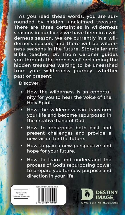 Produktbild: Beyond the Wilderness