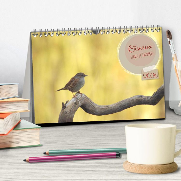 Produktbild: Oiseaux libres et sauvages (Calendrier de bureau 2026 DIN A5 vertical), CALVENDO calendrier mensuel