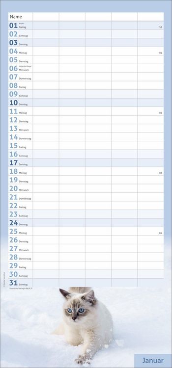 Produktbild: times&more Katzen Familienplaner 2027