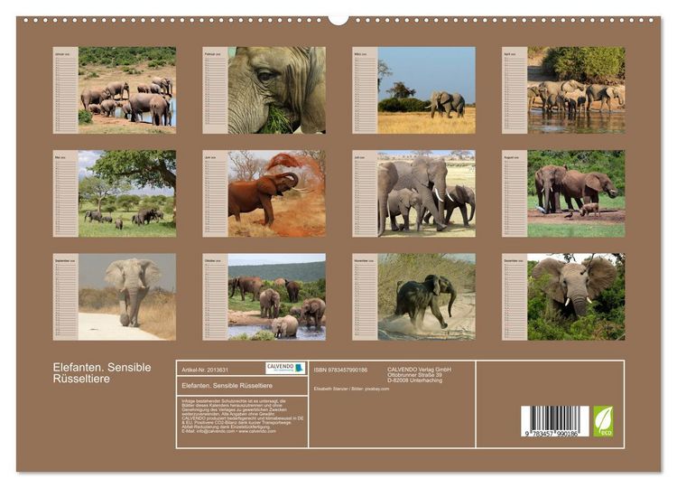 Produktbild: Elefanten. Sensible R&uuml;sseltiere (hochwertiger Premium Wandkalender 2026 DIN A2 quer), Kunstdruck in Hochglanz