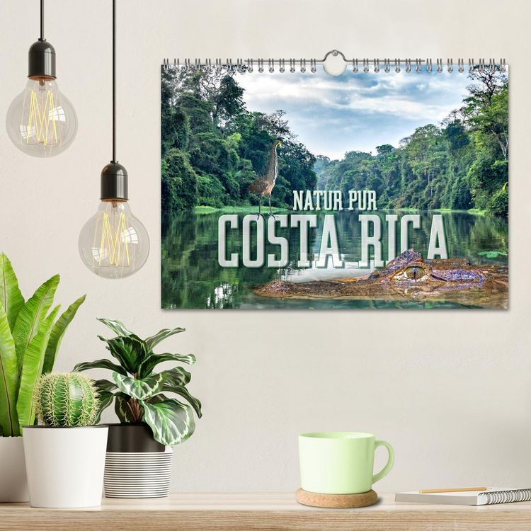Produktbild: Natur pur, Costa Rica (Wandkalender 2026 DIN A4 quer), CALVENDO Monatskalender
