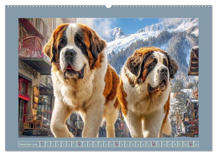 Produktbild: K&ouml;nigliche Bernhardiner. Die sanften Riesen der Alpen (hochwertiger Premium Wandkalender 2026 DIN A2 quer), Kunstdruck in Hochglanz