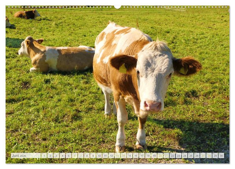 Produktbild: Wundersch&ouml;nes Oberbayern (hochwertiger Premium Wandkalender 2026 DIN A2 quer), Kunstdruck in Hochglanz